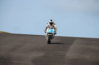 PJ-Motorsport-2019;anglesey-no-limits-trackday;anglesey-photographs;anglesey-trackday-photographs;enduro-digital-images;event-digital-images;eventdigitalimages;no-limits-trackdays;peter-wileman-photography;racing-digital-images;trac-mon;trackday-digital-images;trackday-photos;ty-croes